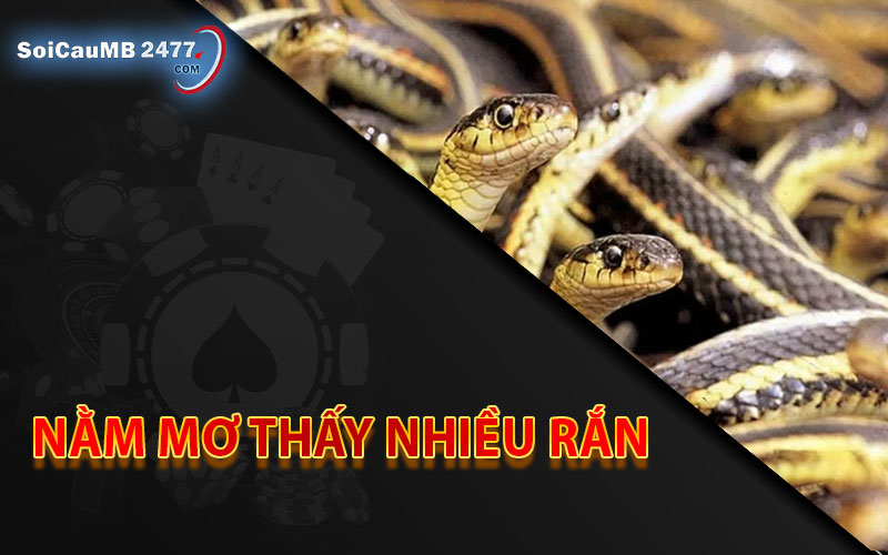 Nằm mơ thấy nhiều rắn